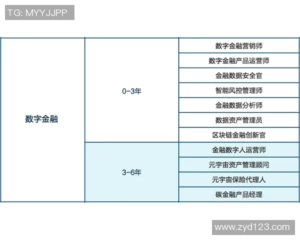 上海飞盘队球员个人能力分析与表现评估研究报告